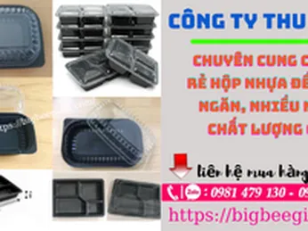 Địa chỉ cung cấp sỉ rẻ hộp nhựa đế đen 3 ngăn 4 ngăn 5 ngăn ở TPHCM