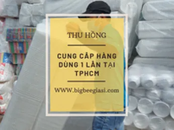 Túi xốp, hộp cơm, muỗng đũa dùng 1 lần giá rẻ cho đại lý, quán ăn