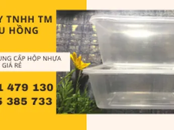 Cung cấp hộp nhựa chữ nhật có nắp dùng 1 lần tại TP.HCM