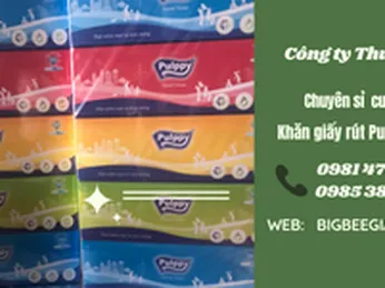 Nơi bán khăn giấy rút Pulppy 180 tờ 2 lớp giá sỉ rẻ tại TpHCM