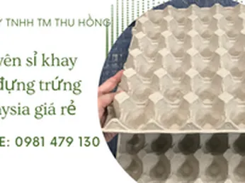 Cung cấp vỉ giấy đựng trứng hàng Malaysia giá rẻ TPHCM