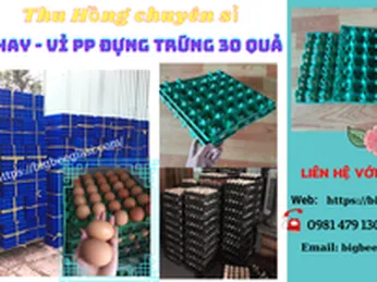 Khay nhựa PP đựng 30 quả trứng đủ màu bền đẹp giá rẻ