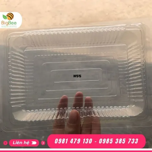 HỘP NHỰA TRONG H55 ĐỰNG THỰC PHẨM