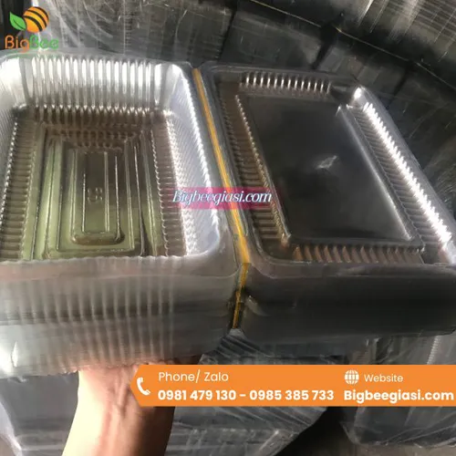 HỘP NHỰA TRONG H50 ĐỰNG THỰC PHẨM
