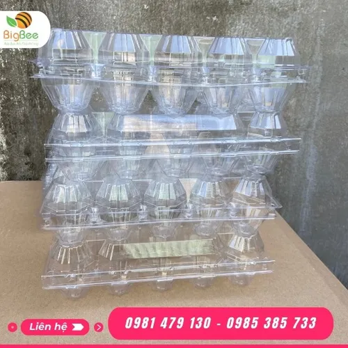 KHAY - VỈ NHỰA ĐỰNG TRỨNG GÀ, VỊT 10 QUẢ