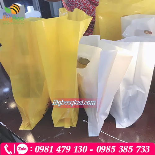 Xưởng sản xuất, in túi hột xoài cho shop thời trang, mỹ phẩm