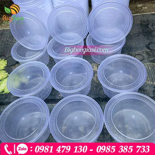 Hộp nhựa tròn 500ml vân cánh hoa