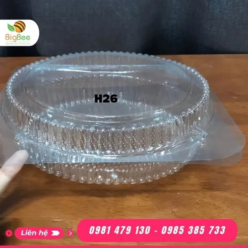 HỘP ĐỰNG BÁNH BÔNG LAN TRỨNG MUỐI H26