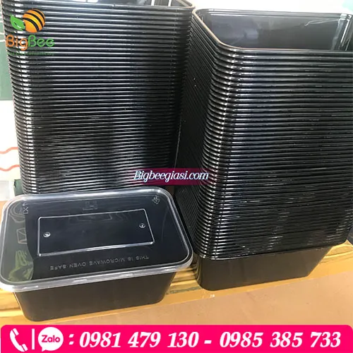 Hộp nhựa chữ nhật màu đen