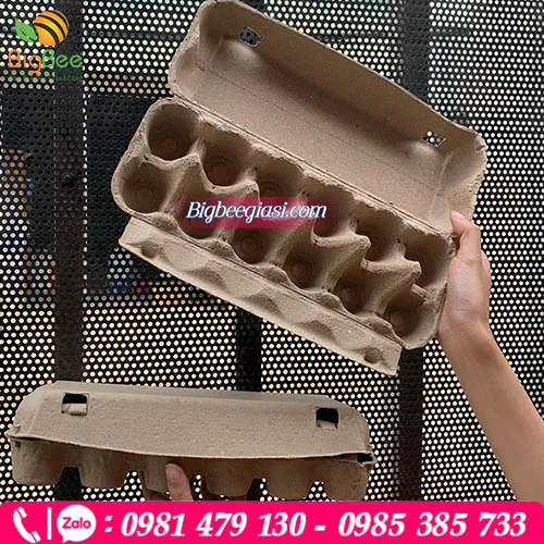 Hộp giấy đựng trứng gà vịt 12 quả 