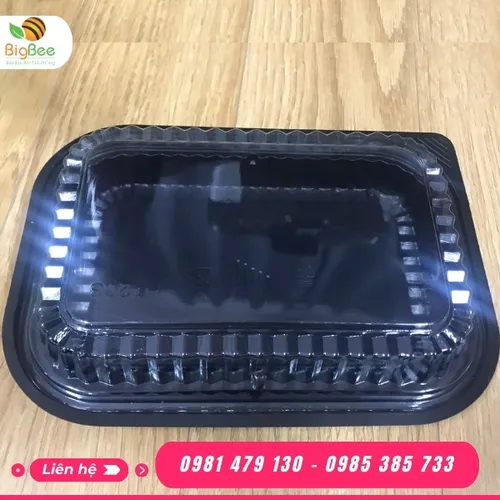 HỘP NHỰA ĐẾ ĐEN HT203 - KT 250x70x170mm