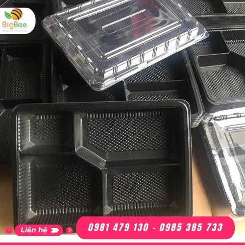 HỘP NHỰA ĐỰNG CƠM 4 NGĂN HT25- KT 260*40*180mm