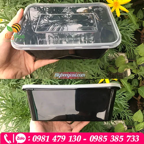 Hộp nhựa chữ nhật màu đen