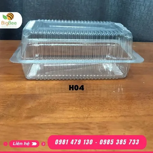 HỘP NHỰA TRONG H04