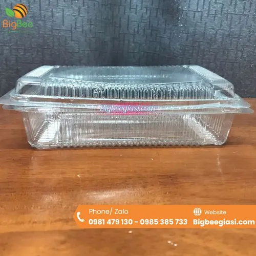 HỘP NHỰA TRONG H141 ĐỰNG RAU MẦM