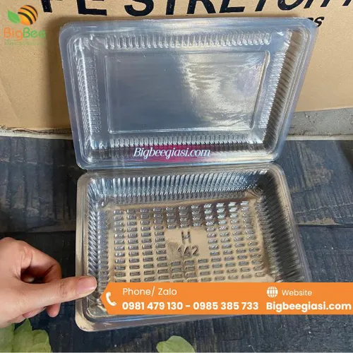 HỘP NHỰA TRONG NẮP GẬP H142
