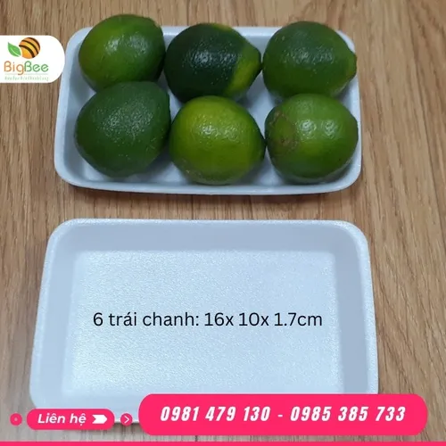 KHAY XỐP 6 TRÁI CHANH TRẮNG