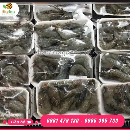 KHAY XỐP ĐỰNG HẢI SẢN