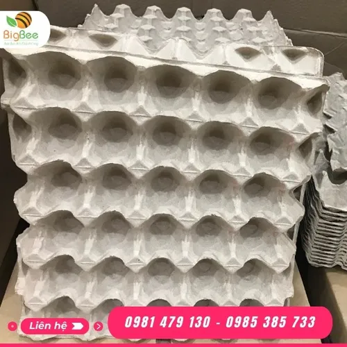 Khay giấy đựng trứng Malaysia