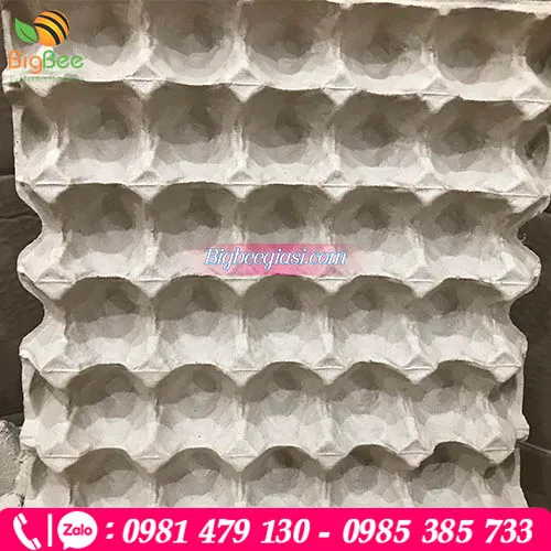 Khay giấy đựng trứng 30 quả