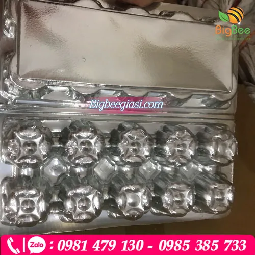 Vỉ nhựa đựng trứng gà vịt  10 quả - Bấm kim