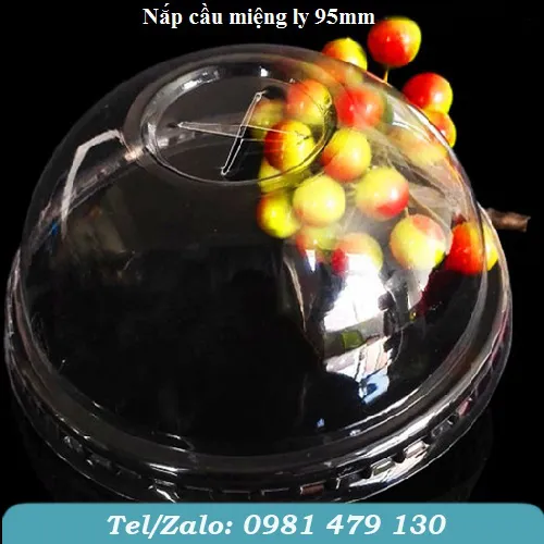 NẮP CẦU MIỆNG LY 95MM