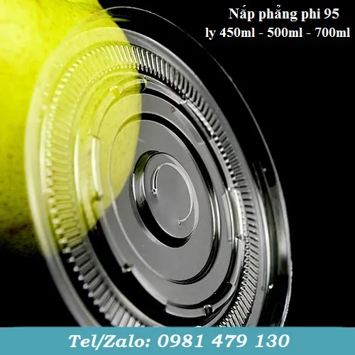NẮP PHẲNG PHI 95