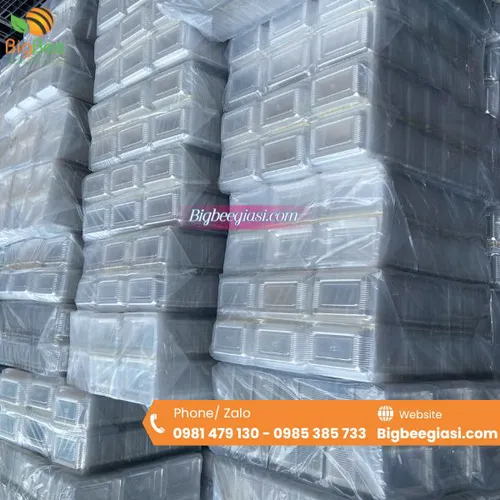 HỘP NHỰA TRONG H141 ĐỰNG RAU MẦM