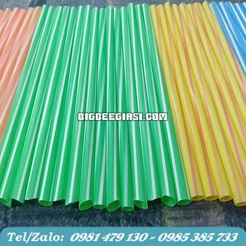 ỐNG HÚT NƯỚC MÍA ĐỦ MÀU PHI 6