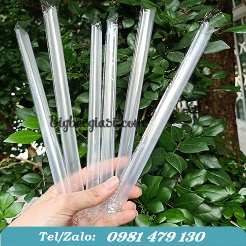 ỐNG HÚT TRÂN CHÂU TRONG SUỐT PHI 12