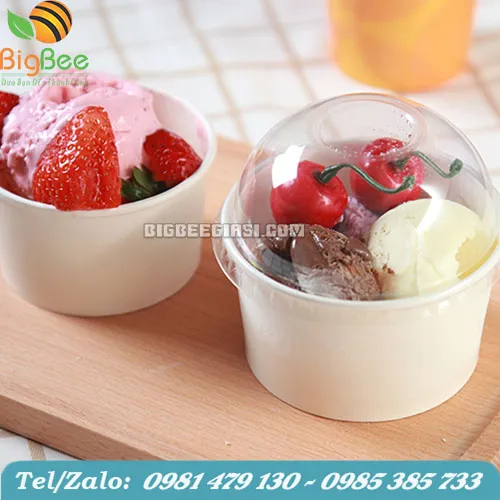 TÔ GIẤY NẮP CẦU GIÁ SỈ
