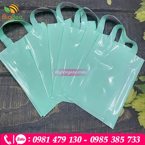 Sản xuất, In túi ép quai giá rẻ theo yêu cầu