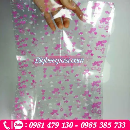 Túi hột xoài PP