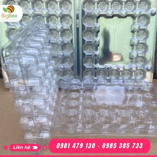 KHAY - VỈ NHỰA ĐỰNG TRỨNG CÚT 30 QUẢ