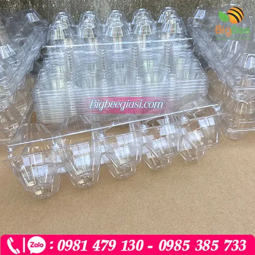 Vỉ nhựa đựng trứng 10 quả - nút bấm