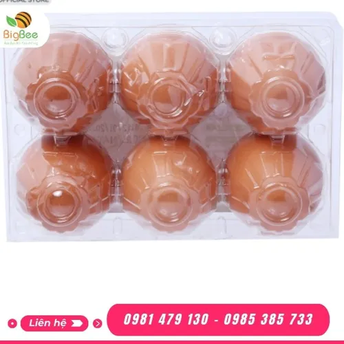 KHAY - VỈ ĐỰNG TRỨNG GÀ VỊT 6 QUẢ