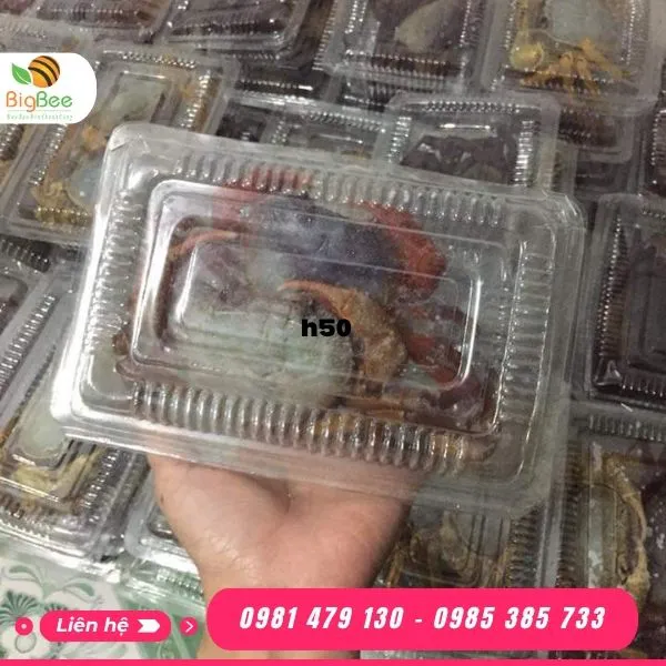 HỘP NHỰA TRONG H50 ĐỰNG THỰC PHẨM