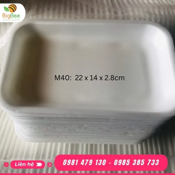 KHAY XỐP M40