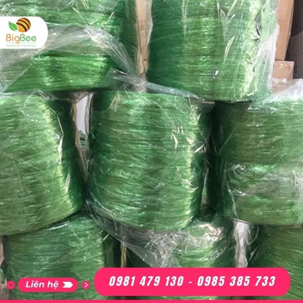 Dây nilon nem buộc hàng 600g màu xanh