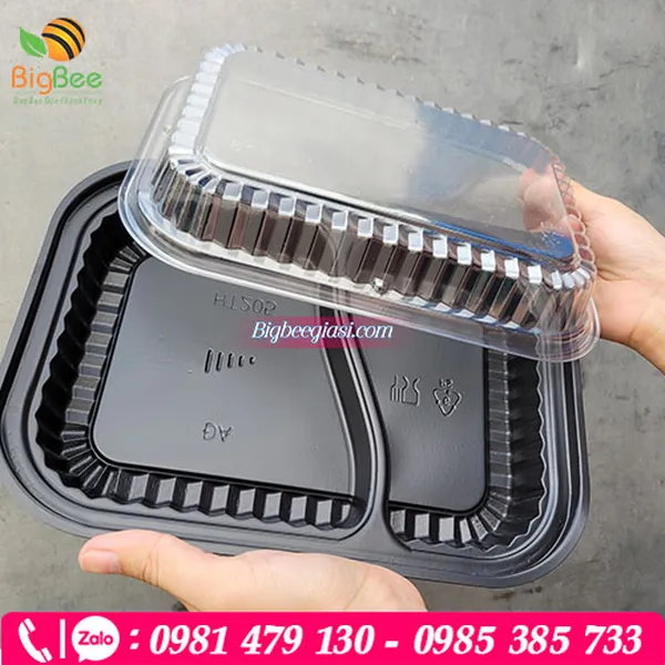 Hộp nhựa 2 ngăn HT205 đế đen nắp trong