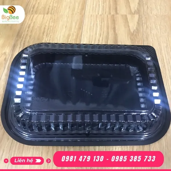 HỘP NHỰA ĐẾ ĐEN HT203 - KT 250x70x170mm