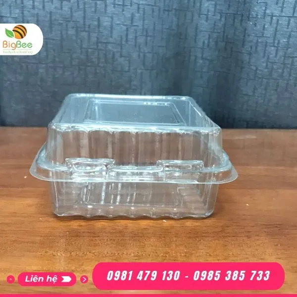 HỘP NHỰA NẮP GẬP H127 VUÔNG