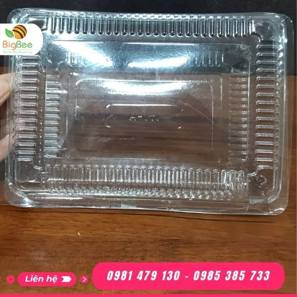 HỘP NHỰA TRONG H141 ĐỰNG RAU MẦM