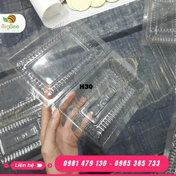 HỘP NHỰA TRONG H30 ĐỰNG BÁNH - THỰC PHẨM