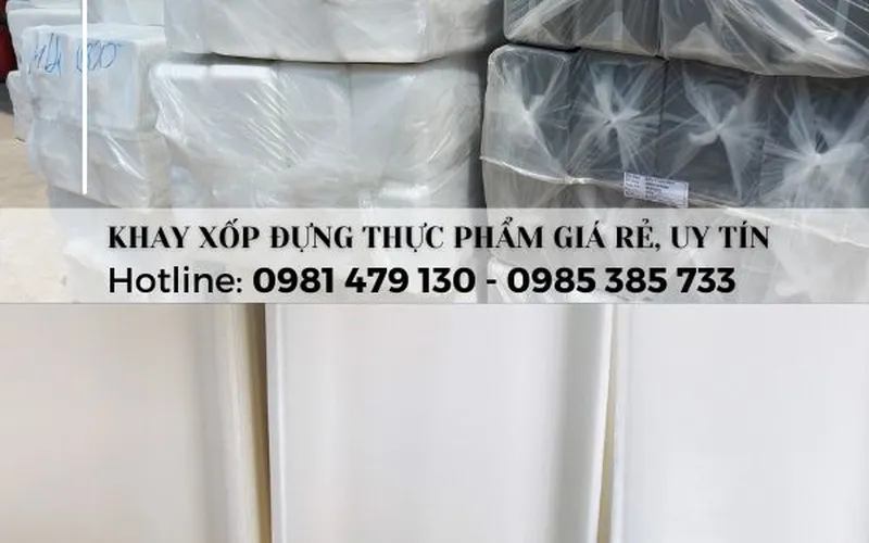Xưởng cung cấp khay xốp giá rẻ, mẫu đẹp tại TpHCM