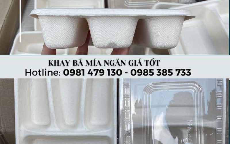 Khay bã mía 4 ngăn đựng thực phẩm giá sỉ Tại TpHCM