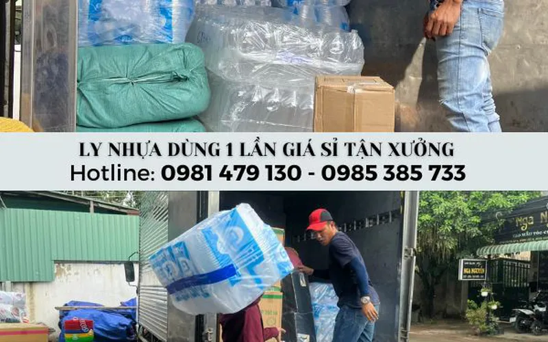 Ly Nhựa Dùng 1 Lần Giá Rẻ TPHCM – Ly PET & PP Đủ Size Cho Quán Trà Sữa