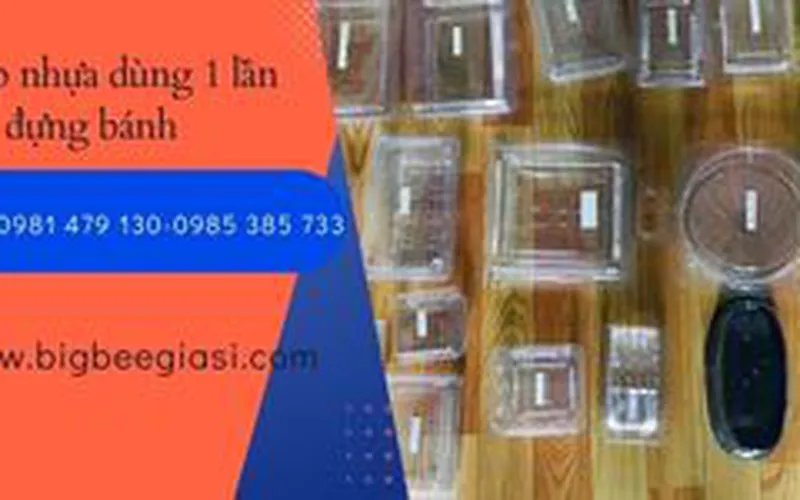 Bán các loại hộp nhựa đựng bánh dùng 1 lần tại TpHCM