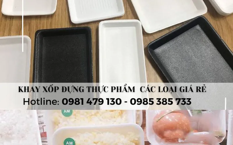 Nơi bán khay xốp vuông - khay xốp chữ nhật tại TpHCM