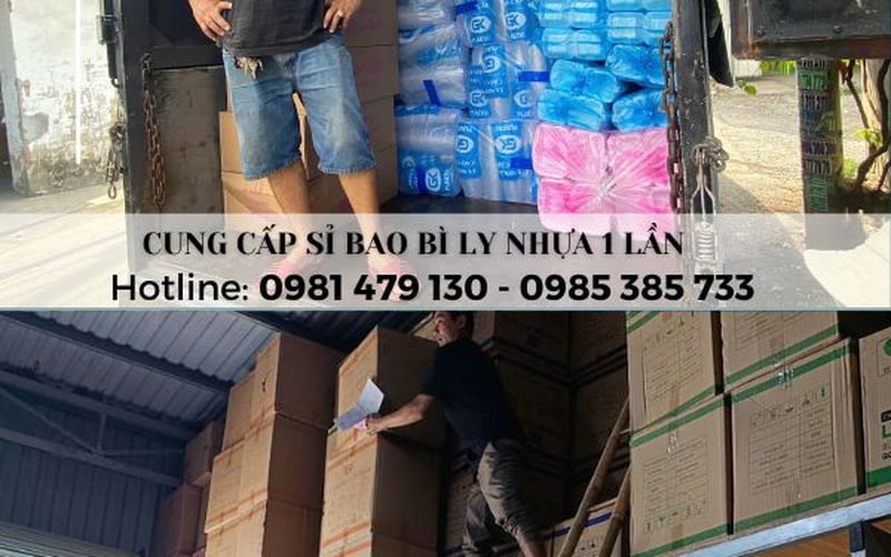 Đáp Ứng Mọi Nhu Cầu Ly  Nhựa Dùng 1 Lần Cho Cửa Hàng Bao Bì, Quán Ăn, Trà Sữa, Càfe